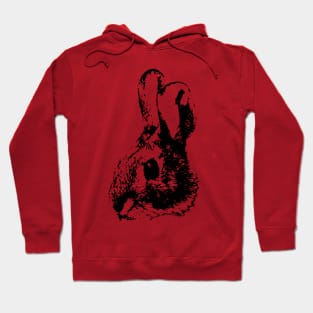 Rabbit Hoodie